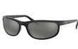 PREDATOR II - BLACK | GREY MIRROR - POLARIZED