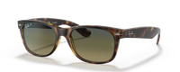 MATTE HAVANA | GRADIENT GREEN | POLARIZED