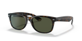 TORTOISE | GREEN | NON-POLARIZED