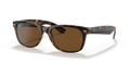 TORTOISE | BROWN | POLARIZED