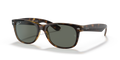TORTOISE | GREEN | POLARIZED