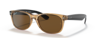 TRANSPARENT HONEY FRONT | BLACK TEMPLES | BROWN | POLARIZED
