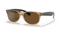 TRANSPARENT HONEY FRONT | BLACK TEMPLES | BROWN | POLARIZED