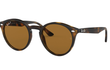2180 - HAVANA | BROWN - POLARIZED