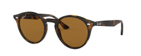 HAVANA | BROWN - POLARIZED