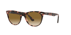 PINK HAVANA | GRADIENT BROWN