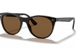 WAYFARER II - TORTOISE | BROWN | POLARIZED