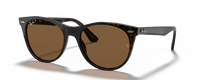 TORTOISE | BROWN | POLARIZED