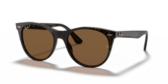TORTOISE | BROWN | POLARIZED
