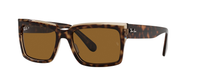 HAVANA | BROWN - POLARIZED