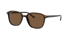 TORTOISE | BROWN - POLARIZED