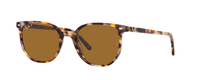 HAVANA BROWN | BROWN - POLARIZED