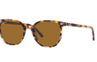 ELLIOT SMALL - HAVANA BROWN | BROWN - POLARIZED