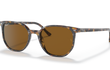 ELLIOT SMALL - HAVANA BROWN | BROWN | POLARIZED