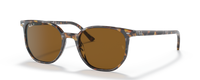 HAVANA BROWN | BROWN | POLARIZED