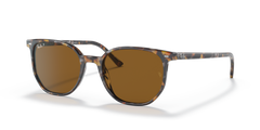 HAVANA BROWN | BROWN | POLARIZED