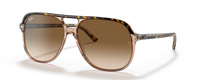 HAVANA | CHAMPAGNE CRYSTAL | GRADIENT BROWN | NON-POLARIZED