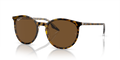 HAVANA | TRANSPARENT | BROWN | POLARIZED