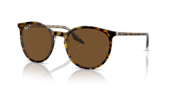 HAVANA | TRANSPARENT | BROWN | POLARIZED