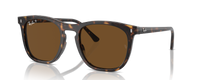 HAVANA | BROWN | POLARIZED