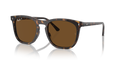 HAVANA | BROWN | POLARIZED