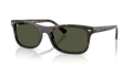 HAVANA | GREEN | NON-POLARIZED