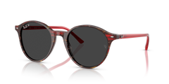 BERNARD | 141948 | POLARIZED