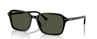 RAIMOND | 901/31 | NON POLARIZED