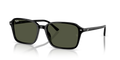 RAIMOND | 901/31 | NON POLARIZED