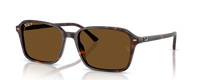 RAIMOND | 902/57 | POLARIZED