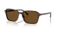RAIMOND | 902/57 | POLARIZED
