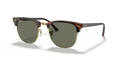 TORTOISE | GOLD | GREEN | POLARIZED