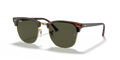 TORTOISE | GOLD | GREEN | NON-POLARIZED
