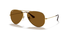 GOLD | BROWN | POLARIZED