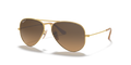 MATTE GOLD | GRADIENT BROWN | POLARIZED