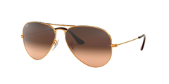 BRONZE | GRADIENT BROWN | PINK