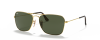 GOLD | GREEN | NON-POLARIZED