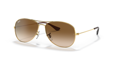 GOLD | GRADIENT BROWN | NON-POLARIZED
