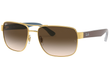 3530 - GOLD | GRADIENT BROWN