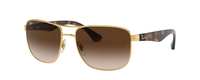 TORTOISE | GOLD | GRADIENT BROWN
