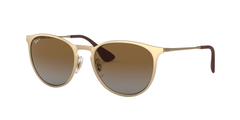 MATTE GOLD | GRADIENT BROWN - POLARIZED