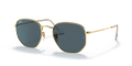 GOLD | BLUE | NON-POLARIZED