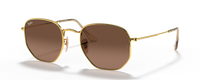GOLD | GRADIENT GREY | BROWN | NON-POLARIZED