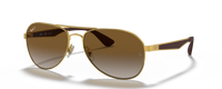 GOLD | GRADIENT BROWN | POLARIZED