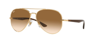 GOLD | GRADIENT BROWN
