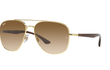 3683 - GOLD | GRADIENT BROWN