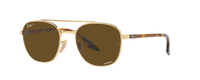 GOLD | BROWN | CHROMANCE - POLARIZED