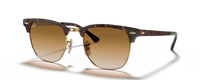 HAVANA | GOLD | GRADIENT BROWN | NON-POLARIZED