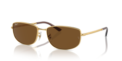 GOLD | BROWN | POLARIZED