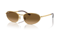 GOLD | BROWN | POLARIZED